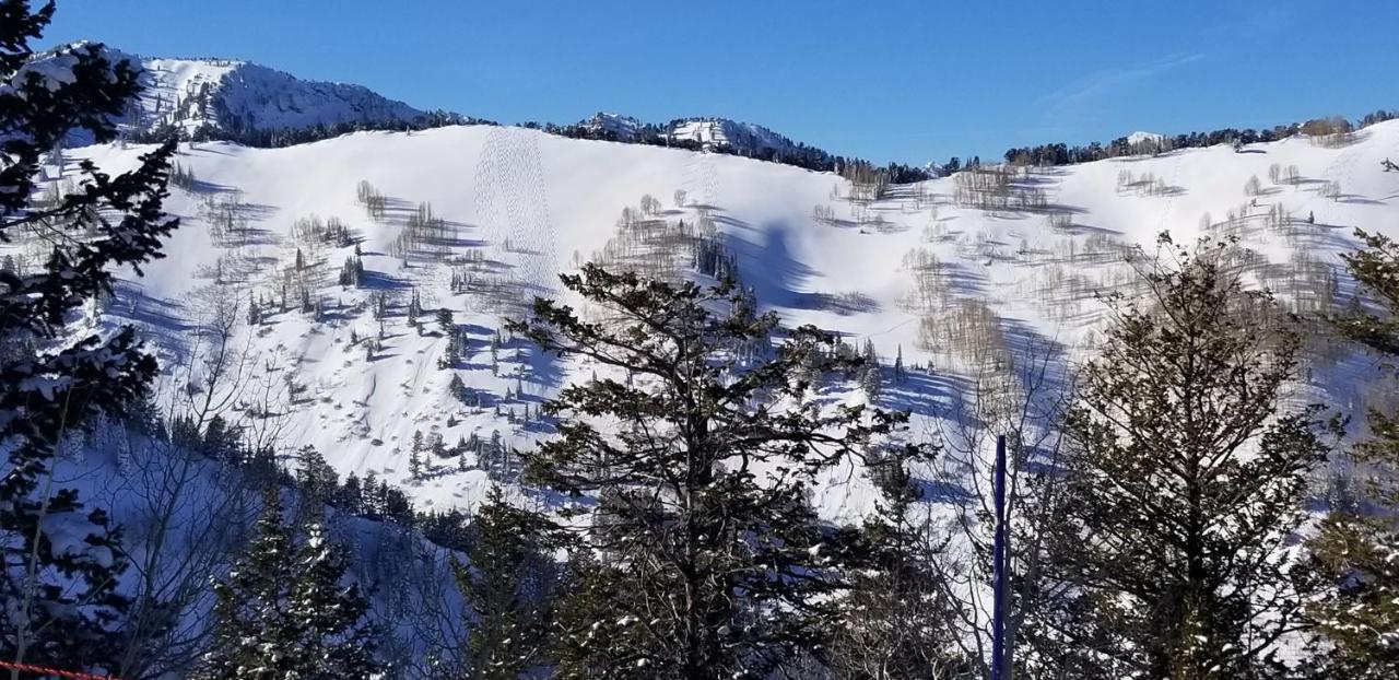 Stunning At Solitude, Steps From Chair Lift, East #103 Brighton Exteriér fotografie