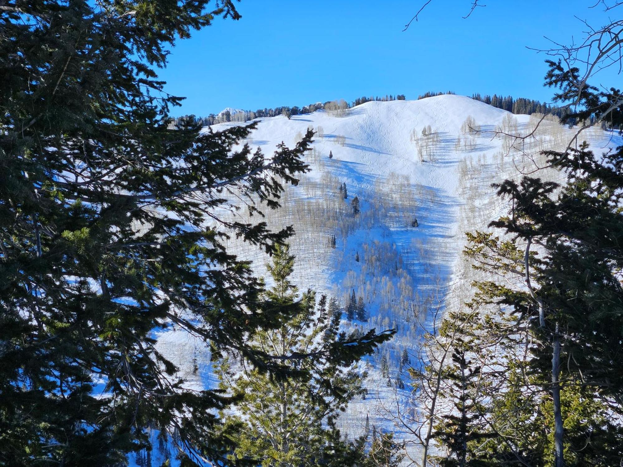 Stunning At Solitude, Steps From Chair Lift, East #103 Brighton Exteriér fotografie